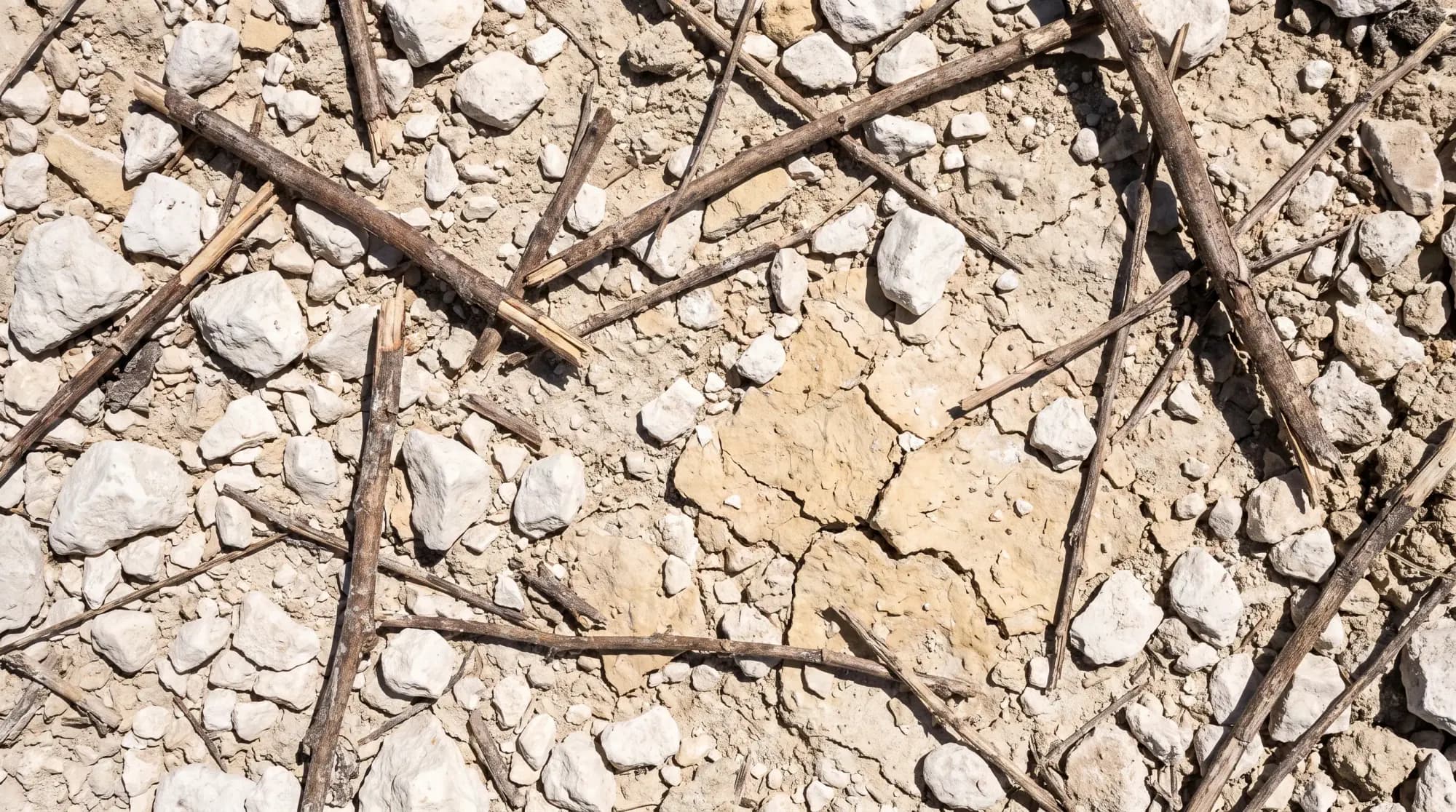 Sol argilo-calcaire vu de haut : cailloux blancs et argile craquelée